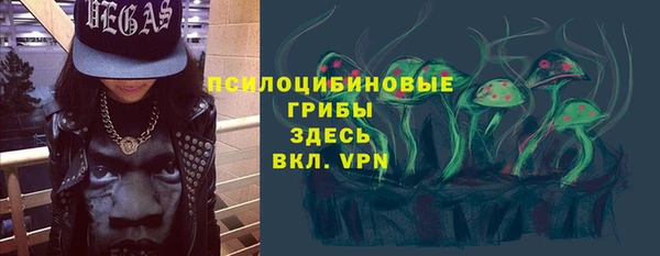 индика Карталы