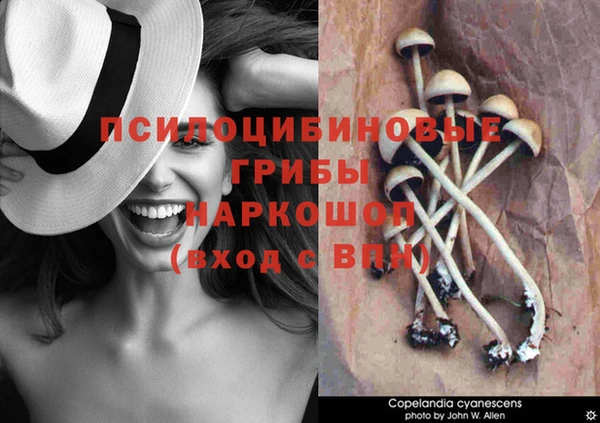 метадон Каменск-Шахтинский