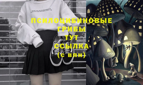 a pvp Каменногорск