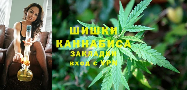 a pvp Каменногорск