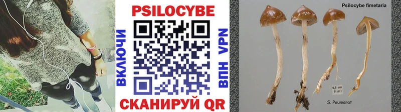 Галлюциногенные грибы Magic Shrooms  Купить закладки  Искитим 