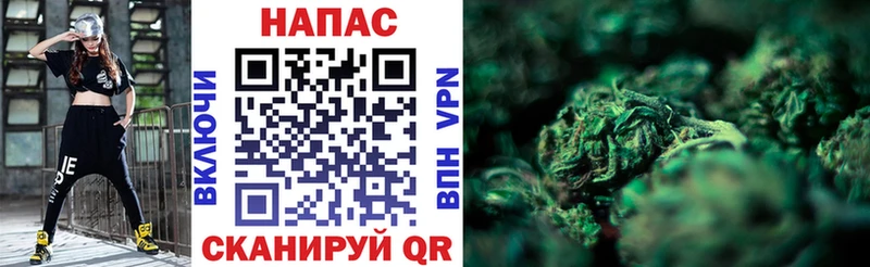 Купить где  Искитим  Канабис SATIVA & INDICA 